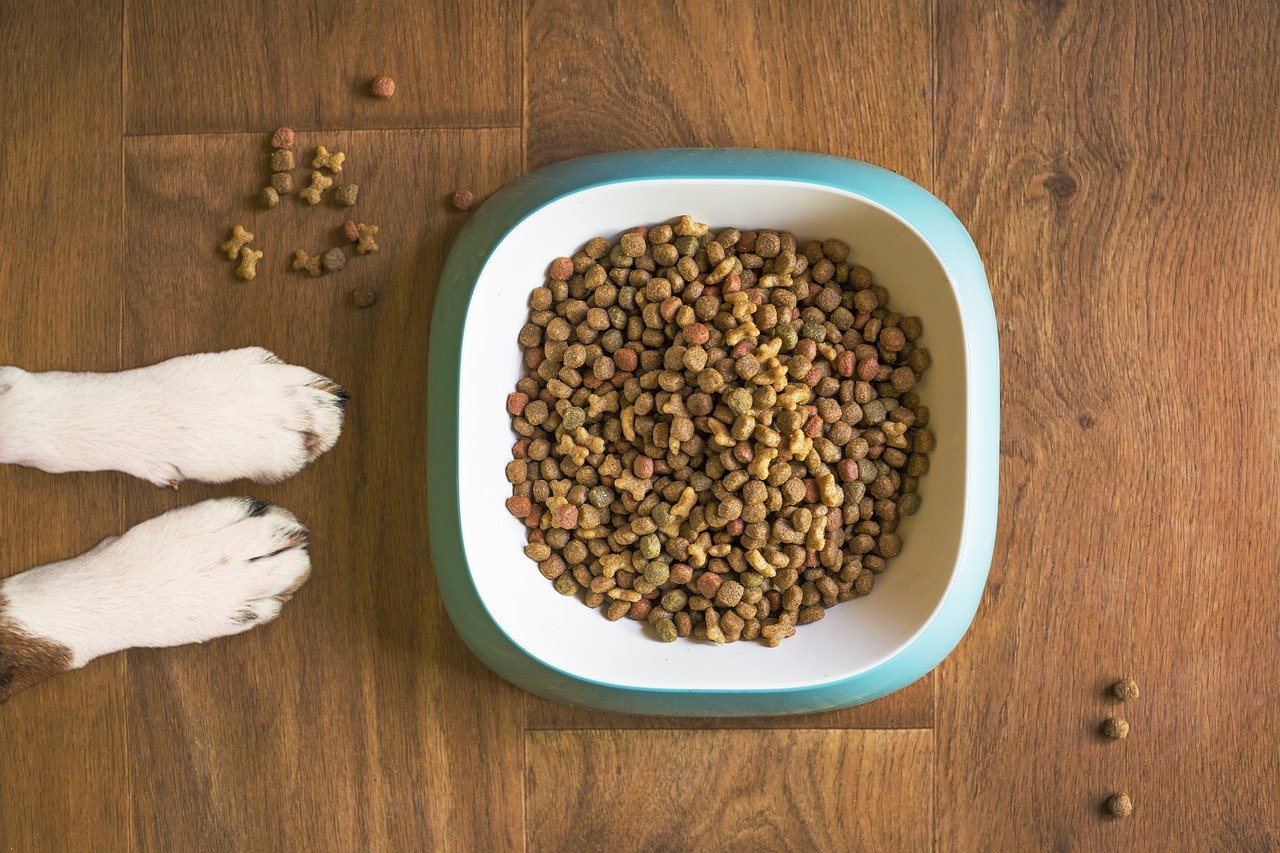 dog food, dog bowl, dog kibble-5168940.jpg
